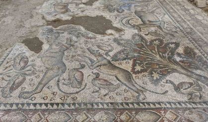 Hayvan Figürleriyle Dolu Bin 700 Yıllık Roma Mozaiği, Burjuva Yaşamının İzlerini Taşıyor