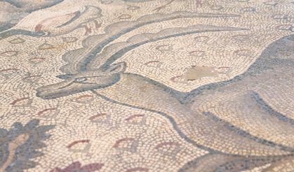 Hayvan Figürleriyle Dolu Bin 700 Yıllık Roma Mozaiği, Burjuva Yaşamının İzlerini Taşıyor