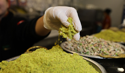 Fıstık Fiyatları Arttı: Sahtekarların Kullandığı Gıda Boyası ve Bezelyeye Dikkat