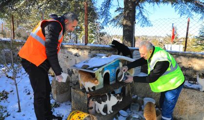 Elazığ Belediyesi’nden Doğadaki Canlara Şefkat Eli