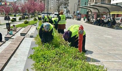 Elazığ Belediyesi’nden Yabani Otlarla Yoğun Mücadele