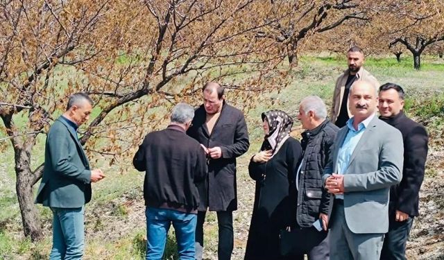 Baskil’de Dondan Etkilenen Meyve Bahçelerinde İnceleme