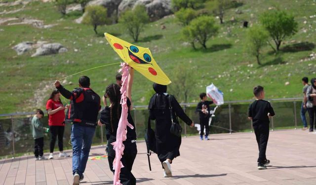 Elazığ’da uçurtma şenliğinde renkli görüntüler oluştu