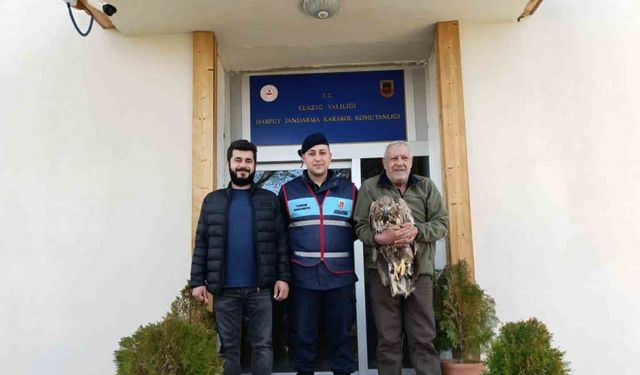Yaralı Kaya Kartalına Jandarma Şefkati