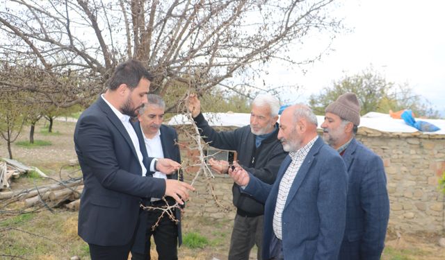 Yunus Bal, Baskil’de Zirai Don Felaketinden Etkilenen Üreticilerle Bir Araya Geldi