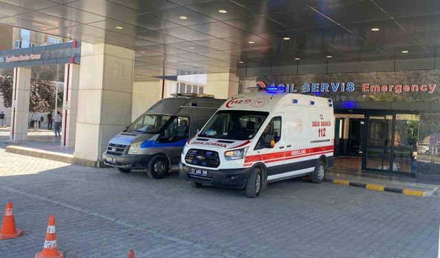 Ahırda Süt Sağan Kadını Kene Isırdı