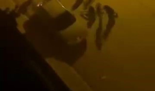 Elazığ’da  Bıçaklı Kavga: 1 Yaralı