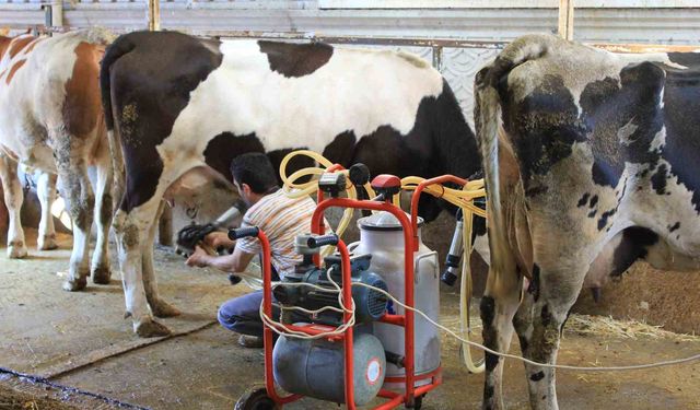 TÜSEDAD’dan Çiğ Sütte Maliyet Konusunda İş Birliği Çağrısı