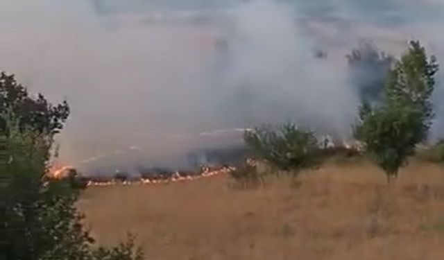 Elazığ’da Otluk Alanda Yangın