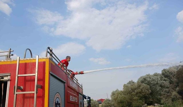 Elazığ’da Ağaçlık Alanda Çıkan Yangın Ekipler Tarafından  Söndürüldü