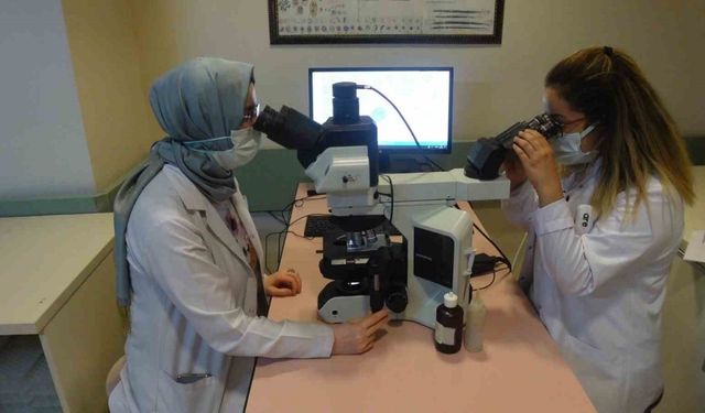 Prof. Dr. Tartar, "Dünya Genelinde 350 Milyondan Fazla Kişi Hepatit İle Yaşamaktadır"
