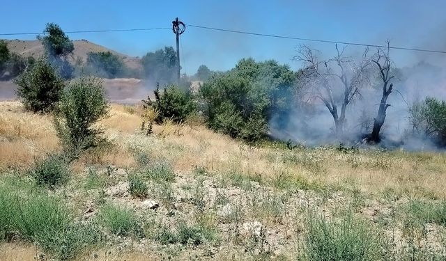 Elazığ'da Korkutan Yangın: Onlarca Dönümlük Alan Kül Oldu