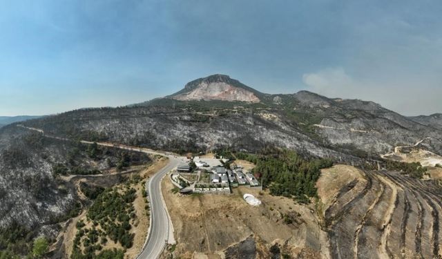 Gürsu Yangınından Yürek Burkan Bu Manzaralar Kaldı
