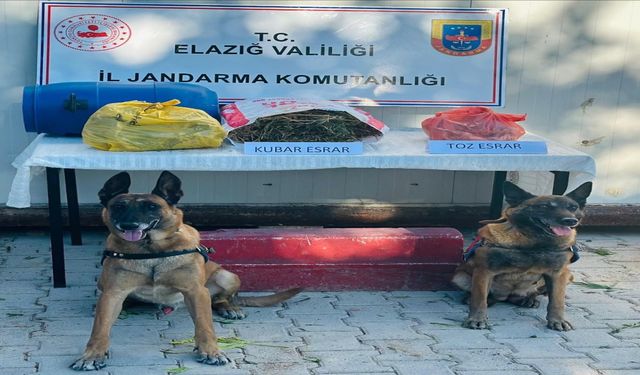 Elazığ’da Jandarmadan Uyuşturucu Operasyonu