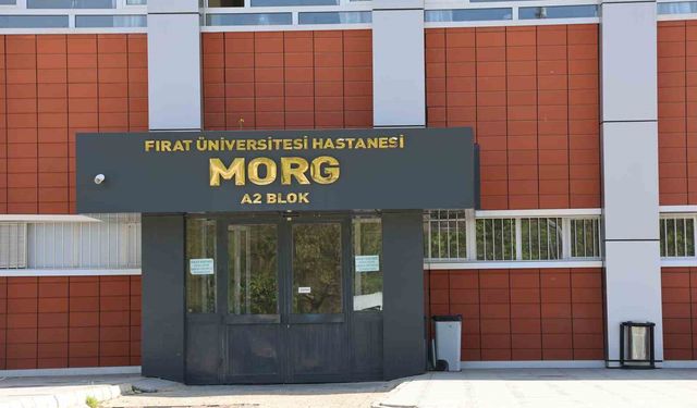 Elazığ’da Taksici, Araç İçerisinde Kuzeni Tarafından Vurularak Öldürüldü