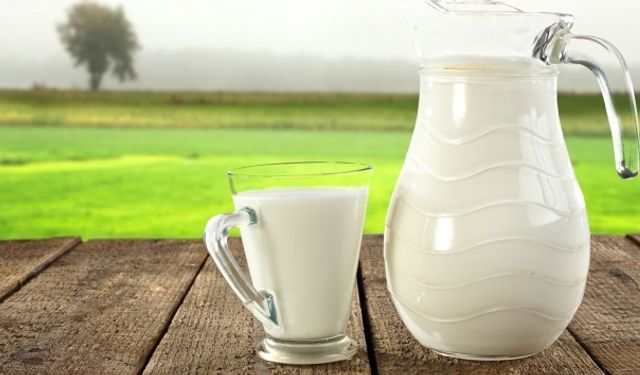 Süt Sektöründe 39 Firmaya Rekabet Soruşturması