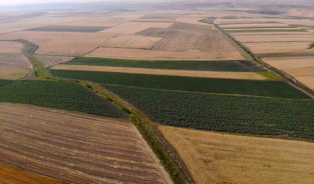 Boş Kalan Tarım Arazileri Kiraya Veriliyor: Süreç Resmen Başladı