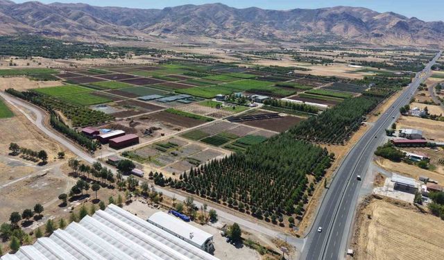 Elazığ’da Üretilen Milyonlarca Fidan, Ülkeye Nefes Oluyor
