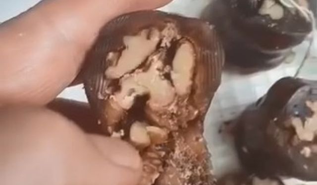 Elazığ’da Vatandaşın Aldığı Orcikten Böcek Çıktı