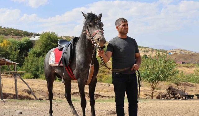 Rahvan Atların Yolculuğu: Orta Asya’dan Osmanlı’ya, Bugün Palu’da