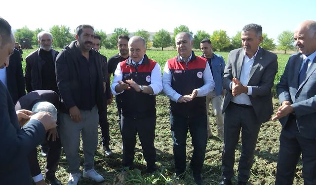 Vali Numan Hatipoğlu Kovancılar’da Şeker Pancarı Hasadına Katıldı