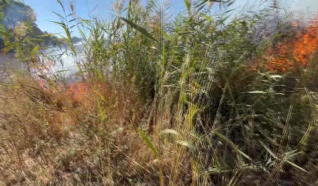 Elazığ’da Otluk Alanda Yangın