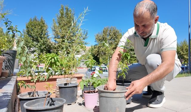 Elazığlı Vatandaştan Örnek Çalışma: Depremde Kurtardığı Fidanlarla Şehirde Köy Hayatını Yaşatıyor