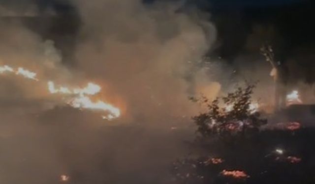 Elazığ’da Otluk Alanlarda Çıkan Yangınlar Söndürüldü