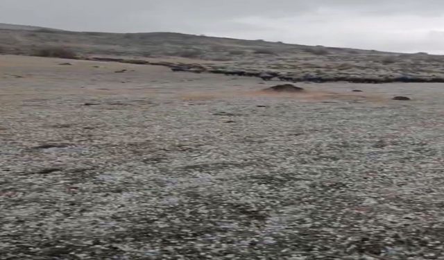 Yıldırımın Düşme Anı Görüntüleri Ortaya Çıktı