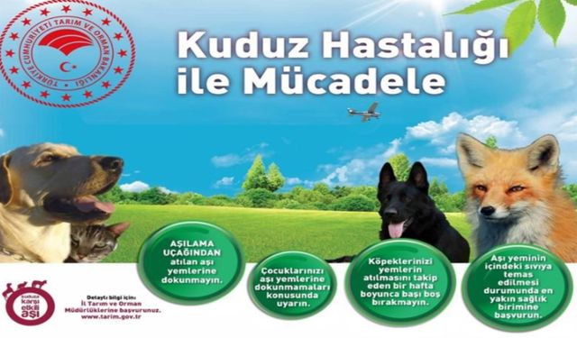 Elazığ’da Kuduzla Mücadelede Yeni Dönem: Havadan Aşı Uygulaması Başlıyor