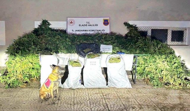 Elazığ’da Jandarmadan Zehir Tacirlerine Darbe: 2 Tutuklama