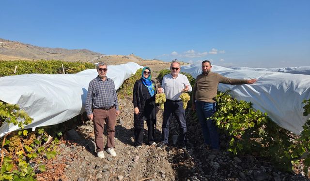 Tarım ve Orman Bakanlığı, Elazığ ve Hatay’da Saha Çalışmalarını Yoğunlaştırdı