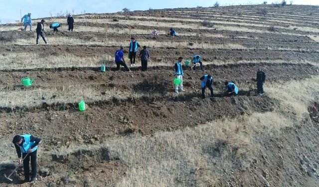 Elazığ’da “1 İyilik 1 Fidan” Kampanyasıyla Fidanlar Toprakla Buluştu