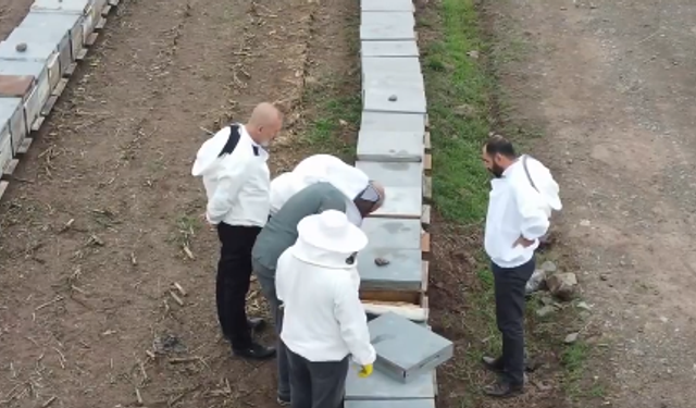 Elazığ’da Geven Balı Üretiminde Kış Hazırlıkları Denetlendi