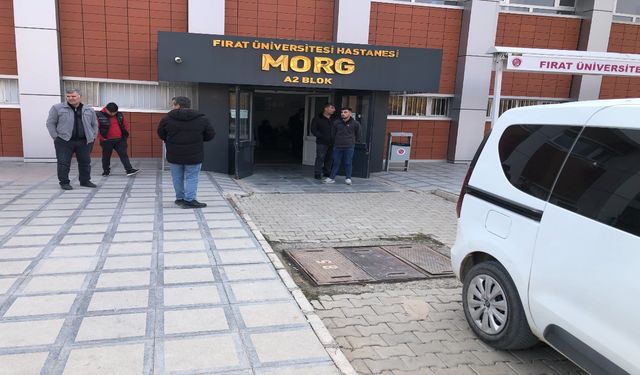 Elazığ’da 3 Çocuk Annesi Kadın, Kocası Tarafından Öldürüldü