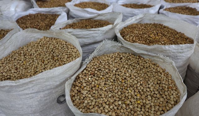 Ağın’da Yöresel Leblebi Yapımı Etkinliği