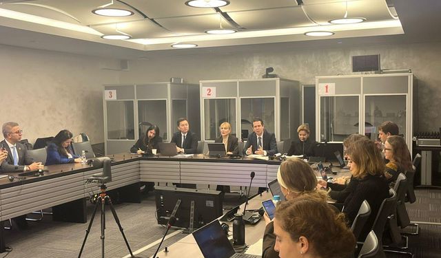 Prof. Dr. Yasemin Açık, Cenevre’de Kadınların Ekonomik Gücünü Konuştu