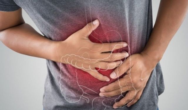 Bağırsak Sağlığı, Uzun Yaşam Üzerinde Belirleyici Rol Oynuyor