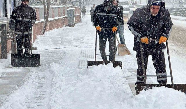 Elazığ'da Kar Yağışı Etkili Oldu, Belediye Ekipleri Sahada