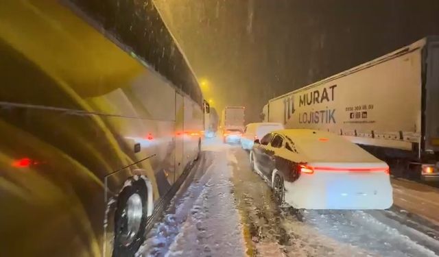 Elazığ'da Kar Yağışından Dolayı Araçlar Yolda Kaldı