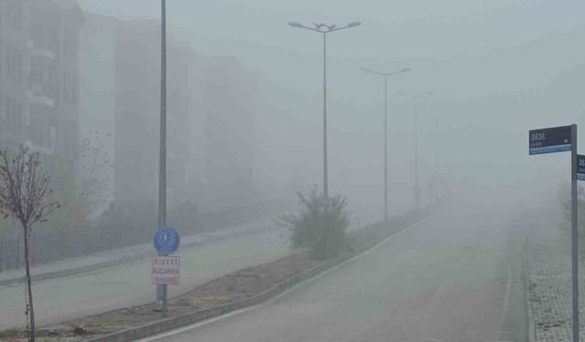 Elazığ’da yoğun sis, bir mahalle adeta kayboldu