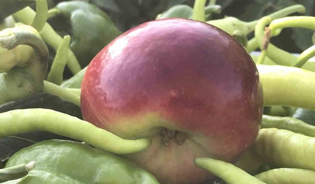 Grip Vakaları Artıyor; C Vitaminini Yanlış Besinde Aramayın