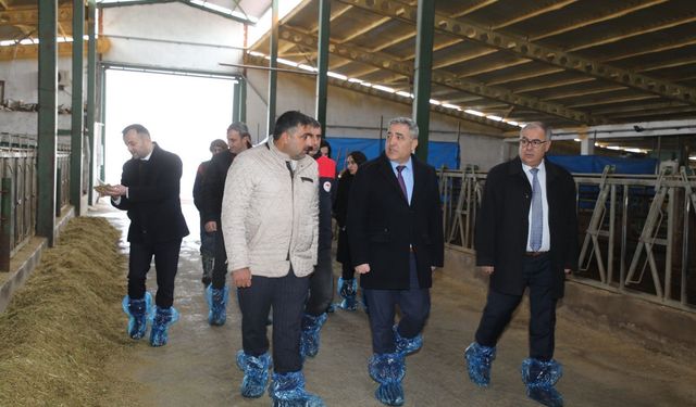 Elazığ'da Hayvancılık Altyapısı Yerinde İncelendi