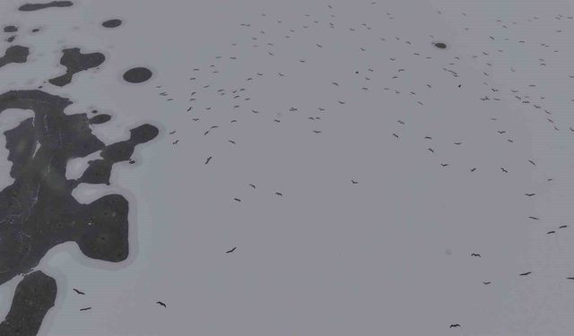 Cip Baraj Gölü Buz Tuttu