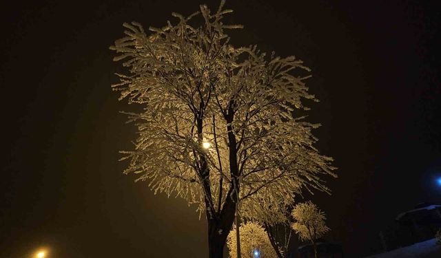 Elazığ'da Ağaçlar Kırağı Tuttu