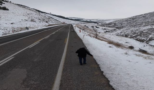 Kuşlar İçin Yol Kenarlarına Buğday Serptiler