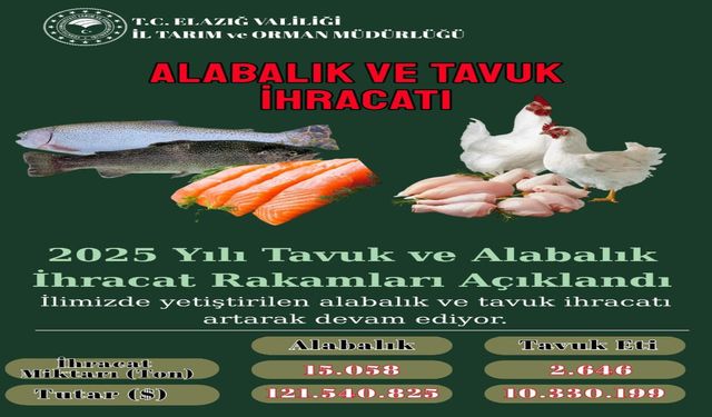 Elazığ’dan 2025’te 15 Bin Ton Alabalık, 2 Bin 646 Ton Tavuk Eti İhracatı