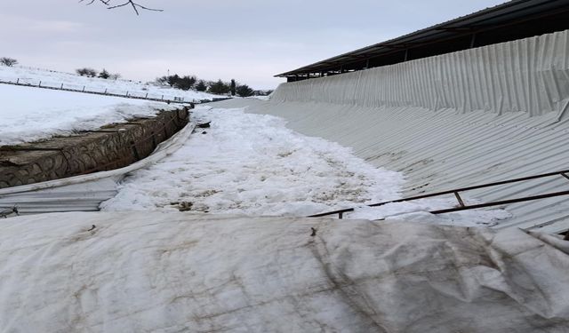 Elazığ'da Ahırın Tavanı Çöktü