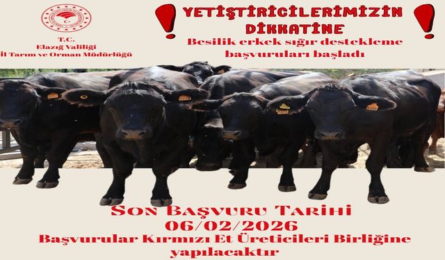 Kırmızı Et Destekleme Başvuruları Alınmaya Başlandı