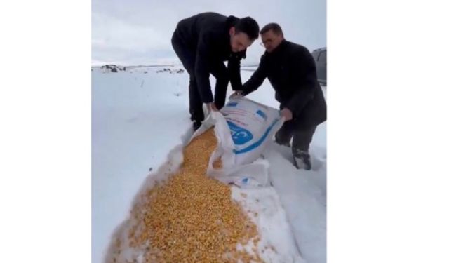 AK Parti Elazığ İl Başkanı Sancar Selmanoğlu Kış Aylarında Sokak Hayvanlarını Unutmadı